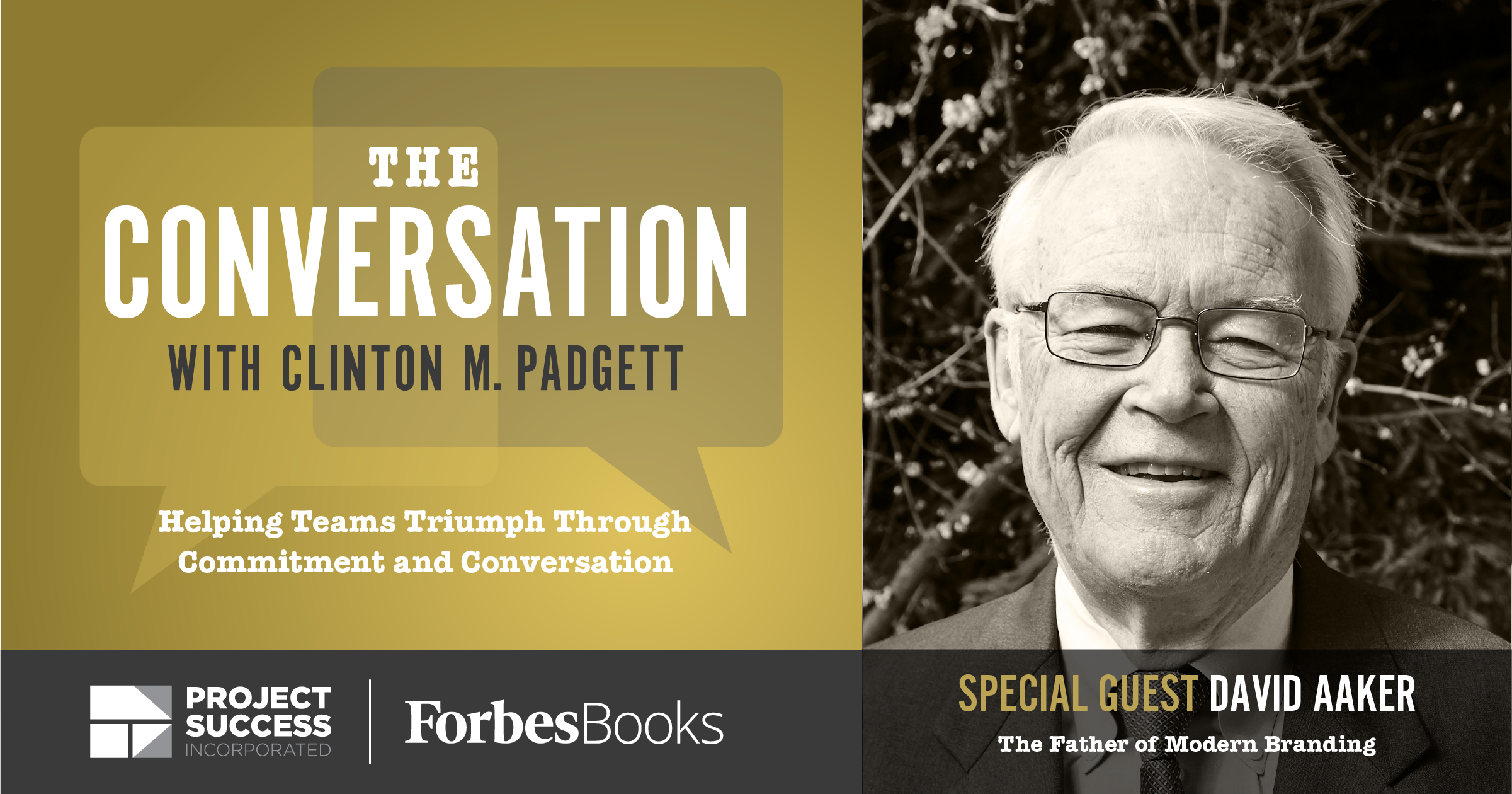 Great Stories Build Strong Brands: A Conversation with David Aaker